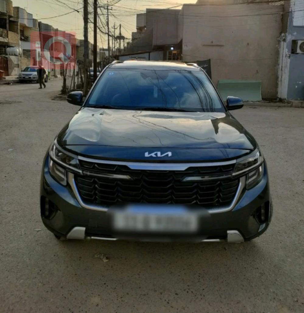 کیا سێلتۆس